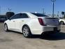 2019 White Cadillac Xts (2G61M5S31K9) with an 3.6L V6 DOHC 24V engine, located at 2401 E Main St., Grand Prairie, TX, 75050, (972) 262-4440, 32.748981, -96.969643 - Photo#4