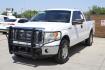 2012 White Ford F-150 XLT (1FTFX1EF0CF) with an 5.0L engine, located at 2401 E Main St., Grand Prairie, TX, 75050, (972) 262-4440, 32.748981, -96.969643 - Photo#1