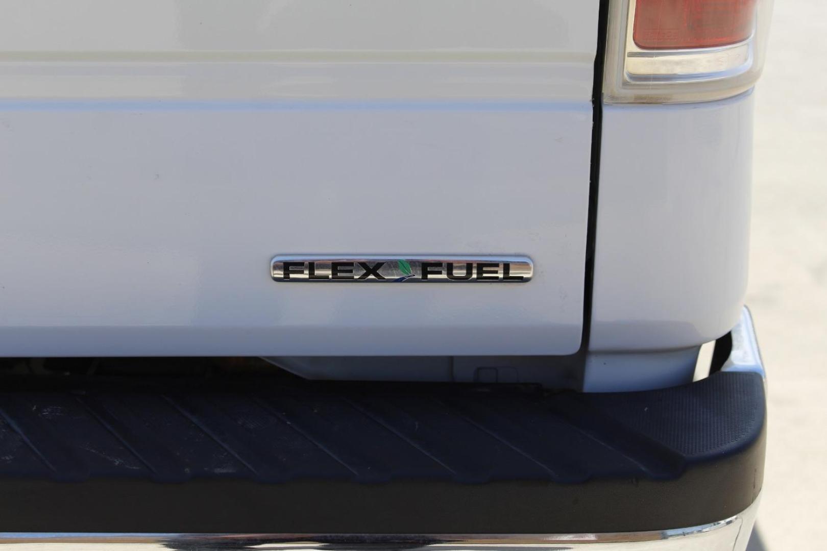 2012 White Ford F-150 XLT (1FTFX1EF0CF) with an 5.0L engine, located at 2401 E Main St., Grand Prairie, TX, 75050, (972) 262-4440, 32.748981, -96.969643 - Photo#7
