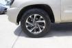 2008 Gold Toyota Tacoma (5TETX22NX8Z) with an 2.7 engine, located at 2401 E Main St., Grand Prairie, TX, 75050, (972) 262-4440, 32.748981, -96.969643 - Photo#3