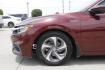 2019 Red Honda Insight LX (19XZE4F14KE) with an 1.5L I-4 DOHC engine, located at 2401 E Main St., Grand Prairie, TX, 75050, (972) 262-4440, 32.748981, -96.969643 - Photo#3