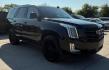 2015 Black Cadillac Escalade Platinum (1GYS4PKJ4FR) with an EcoTec3 6.2L V-8 gasoline direct injection engine, located at 2401 E Main St., Grand Prairie, TX, 75050, (972) 262-4440, 32.748981, -96.969643 - Photo#14