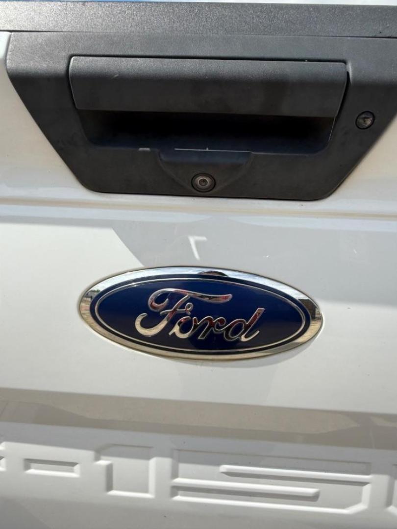 2019 White Ford F-150 XLT (1FTEW1C50KF) , located at 2401 E Main St., Grand Prairie, TX, 75050, (972) 262-4440, 32.748981, -96.969643 - Photo#10