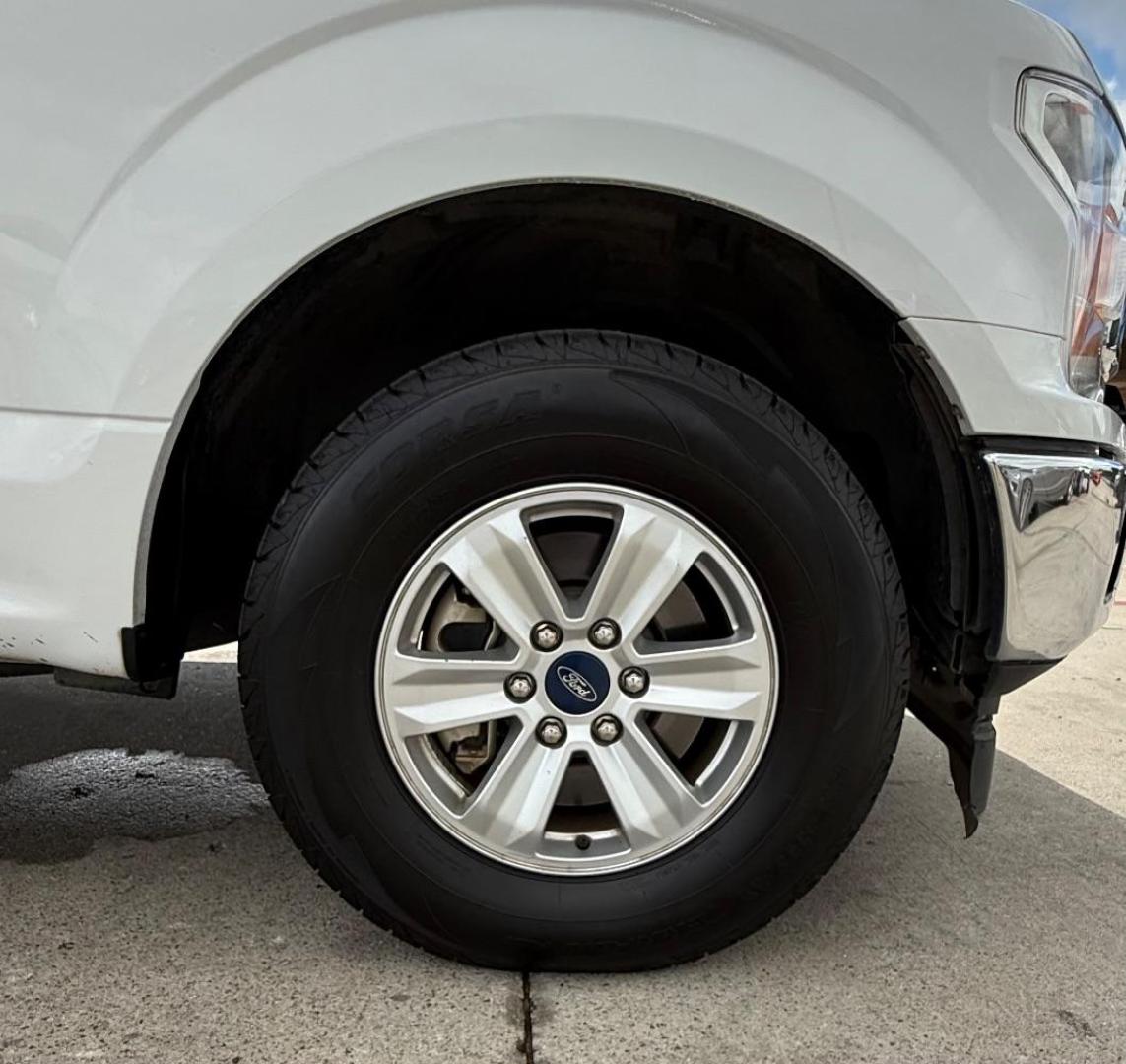 2019 White Ford F-150 XLT (1FTEW1C50KF) , located at 2401 E Main St., Grand Prairie, TX, 75050, (972) 262-4440, 32.748981, -96.969643 - Photo#14