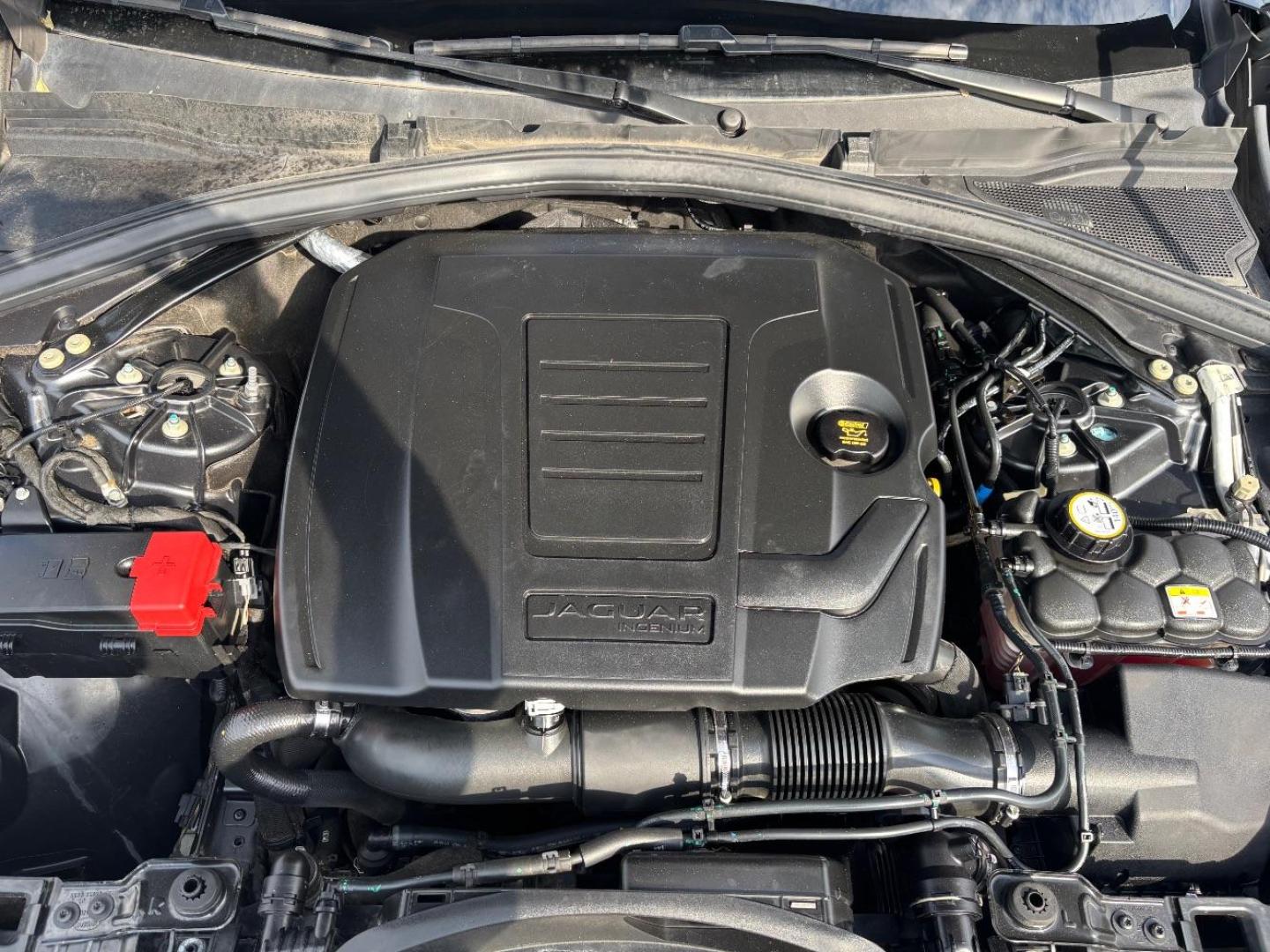 2019 Gray Jaguar F-PACE 30t Portfolio (SADCN2GX9KA) with an Ingenium 2L I-4 gasoline direct injection engine, located at 2401 E Main St., Grand Prairie, TX, 75050, (972) 262-4440, 32.748981, -96.969643 - Photo#20