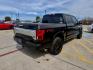 2018 Shadow Black/Magnetic Metallic /Black, leather Dark Marsala, leather Ford F-150 58802 (1FTEW1EG8JF) with an 3.5L V6 TURBO engine, 6-Speed Automatic transmission, located at 2401 E Main St., Grand Prairie, TX, 75050, (972) 262-4440, 32.748981, -96.969643 - Photo#5
