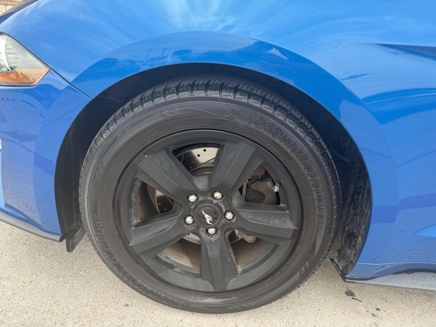 2019 Kona Blue Metallic /Dark Ceramic, cloth Ebony, cloth Ford Mustang 62549 (1FA6P8THXK5) with an 2.3L L4 DOHC 16V engine, 6-Speed Automatic6-Speed Manual transmission, located at 2401 E Main St., Grand Prairie, TX, 75050, (972) 262-4440, 32.748981, -96.969643 - Photo#1