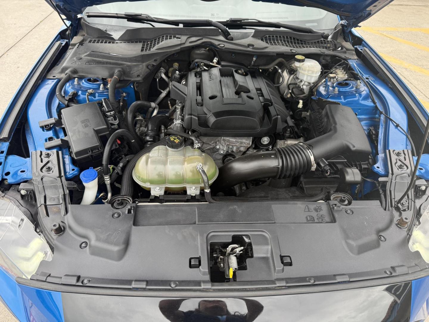 2019 Kona Blue Metallic /Dark Ceramic, cloth Ebony, cloth Ford Mustang 62549 (1FA6P8THXK5) with an 2.3L L4 DOHC 16V engine, 6-Speed Automatic6-Speed Manual transmission, located at 2401 E Main St., Grand Prairie, TX, 75050, (972) 262-4440, 32.748981, -96.969643 - Photo#14
