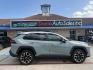 2019 Lunar Rock /Black, leatherette Mocha, leatherette Toyota RAV4 67278 (2T3J1RFV9KC) with an 2.5L L4 DOHC 16V engine, 8-Speed Automatic transmission, located at 2401 E Main St., Grand Prairie, TX, 75050, (972) 262-4440, 32.748981, -96.969643 - Photo#33