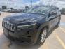 2021 Diamond Black Crystal Pearl Coat /Black, cloth Black/Light Frost Beige, cloth Jeep Cherokee 74375 (1C4PJLCB3MD) with an 2.4L L4 DOHC 16V engine, 9-Speed Automatic transmission, located at 2401 E Main St., Grand Prairie, TX, 75050, (972) 262-4440, 32.748981, -96.969643 - Photo#0